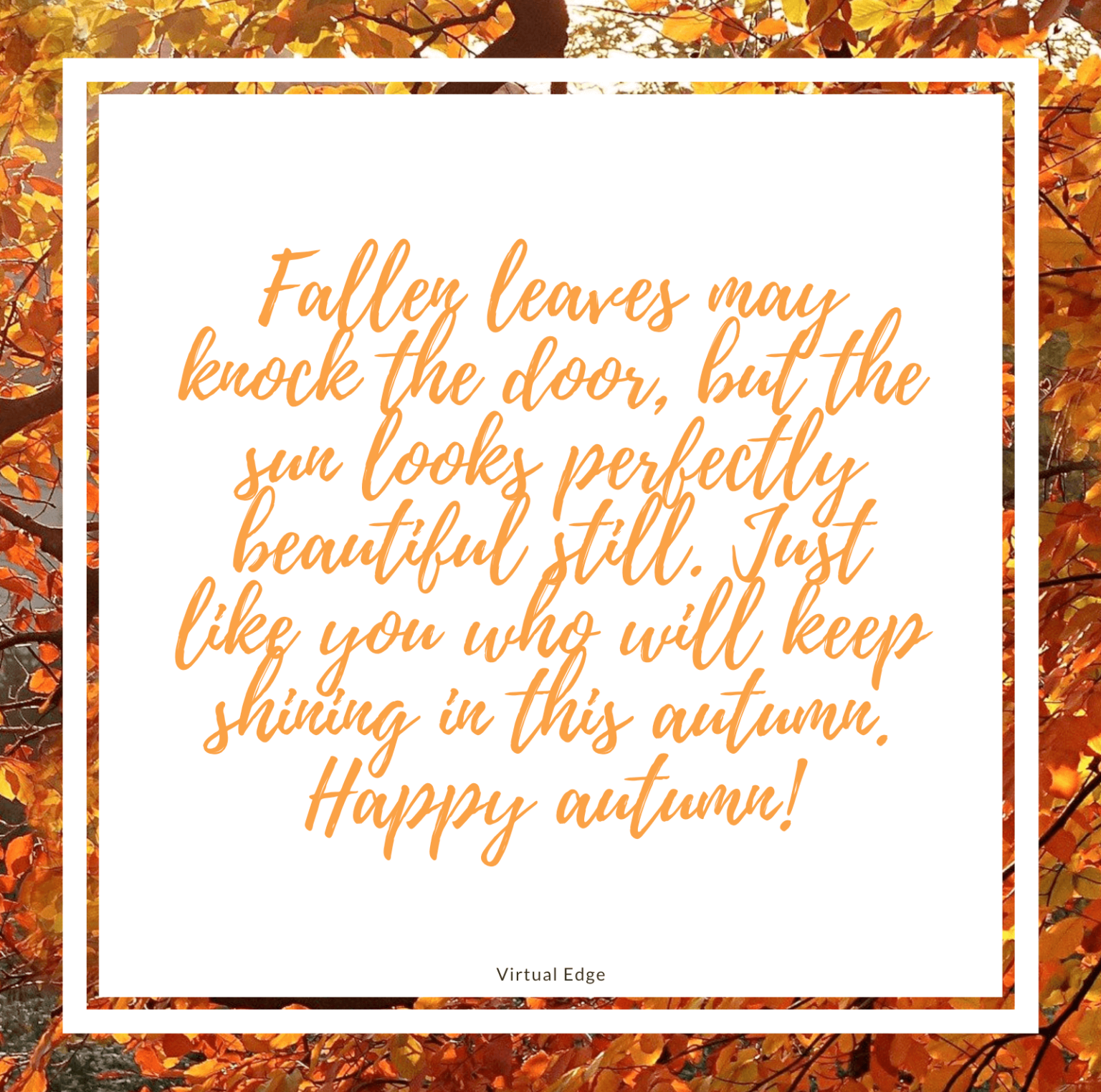 Best Happy Autumn Wishes, Autumn Gift Ideas, and How to Prepare Your