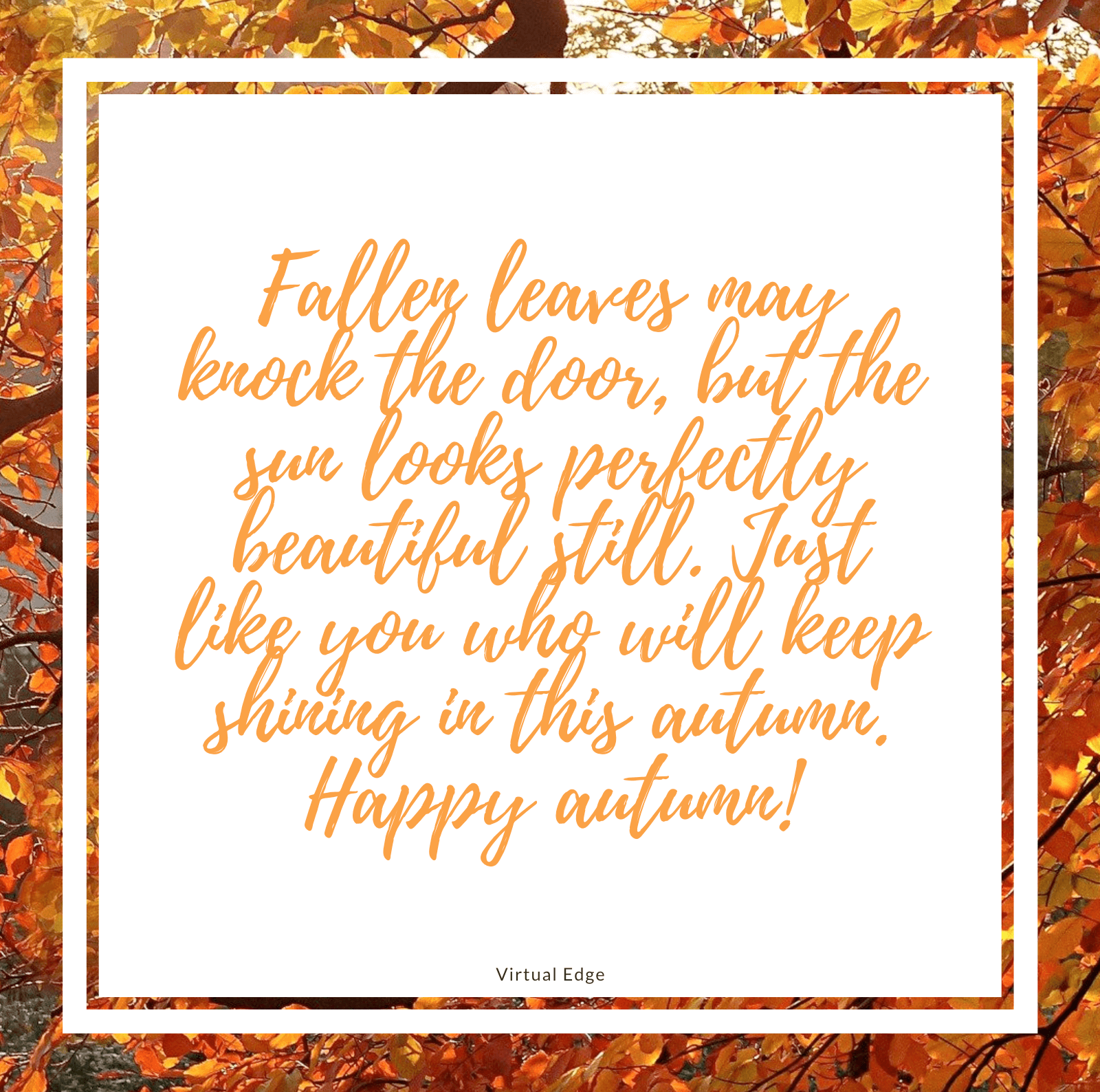 Happy Autumn Wishes