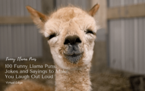 100 Funny Llama Puns, Jokes and Sayings to Make You Laugh Out Loud