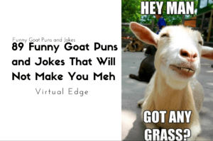 89 Funny Goat Puns and Jokes That Will Not Make You Meh