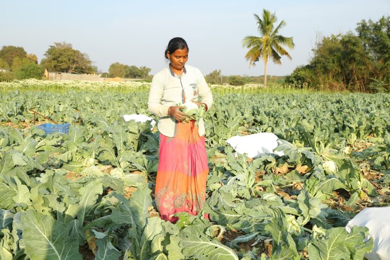 Photo Organic Farm-to-Table Catering Services