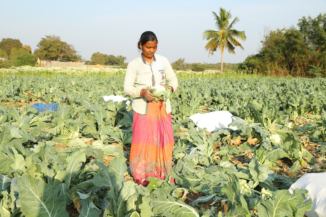 Photo Organic Farm-to-Table Catering Services